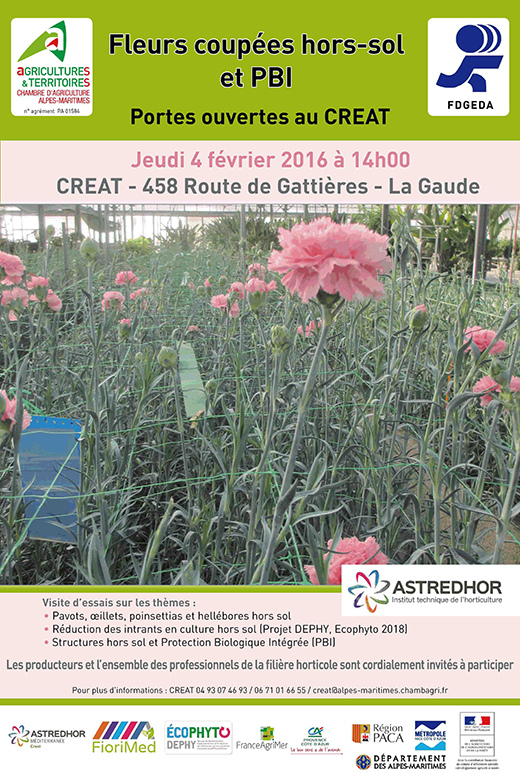 journée 04/02/2016 journée 04/02/2016